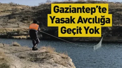 gizli ağ avı - Yavuzeli'nde Gizli Ağ Avı: Bot Timi Yakaladı