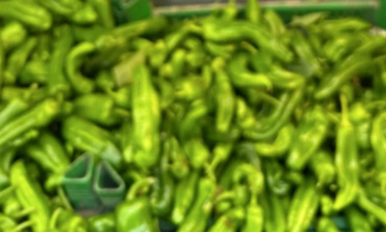 yeşil biber fiyatları - Yeşil Biber 320 TL: Gaziantep Mutfağında Yangın