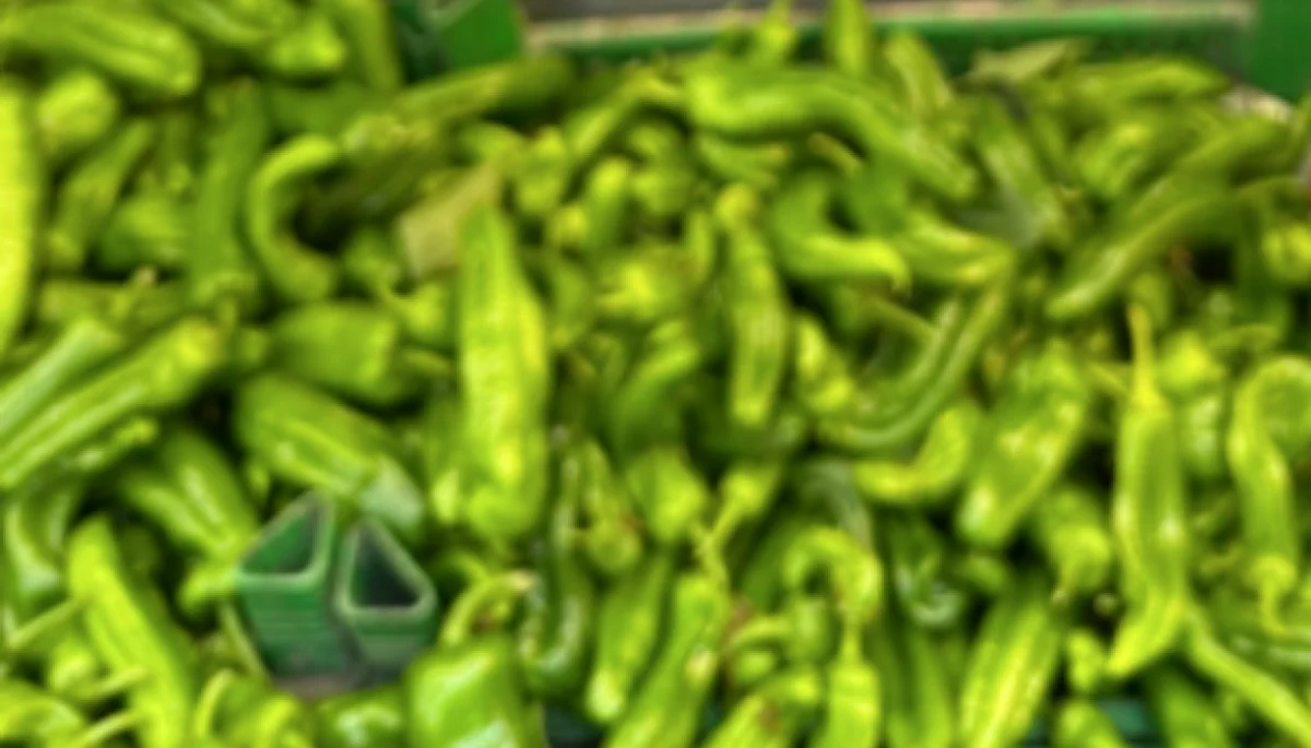 Yeşil Biber 320 TL: Gaziantep Mutfağında Yangın