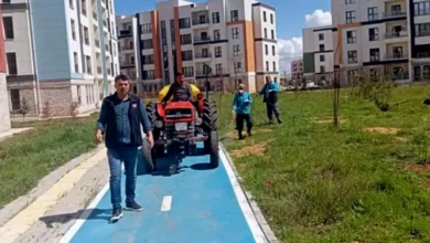 Araban TOKİ haşere - Araban TOKİ'de Haşereye Karşı Savaş