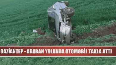 Araban yolunda kaza - Araban Yolu'nda Sürpriz Kaza: Araç Tarlaya Uçtu