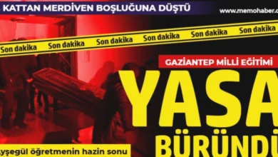 Ayşegül Öğretmenin Gizemli Ölümü - Ayşegül Öğretmenin Gizemli Ölümü