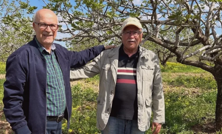 Barak fıstık üretimi - Barak Fıstık Üretimi Tehlikede