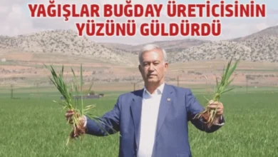 buğday bereketine yağmur - Buğday Bereketine Yağmur Sevinci: Çiftçi Gülüyor
