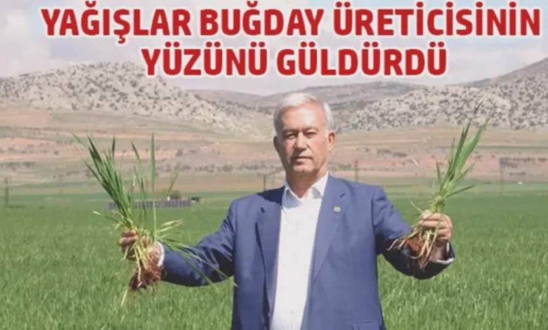 buğday bereketine yağmur - Buğday Bereketine Yağmur Sevinci: Çiftçi Gülüyor