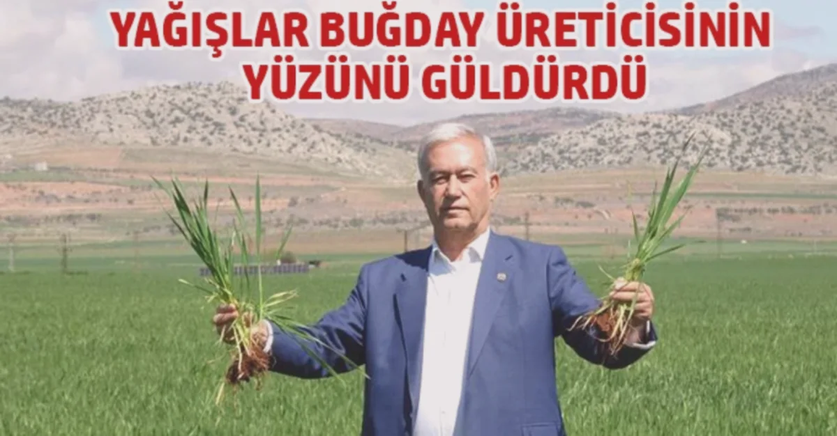 Buğday Bereketine Yağmur Sevinci: Çiftçi Gülüyor