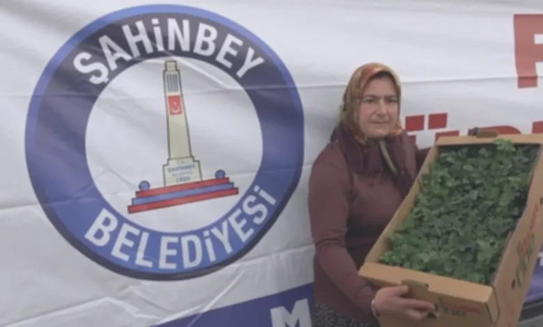 Çiftçi fide desteği - Çiftçiye 5 Milyon Fide Desteği