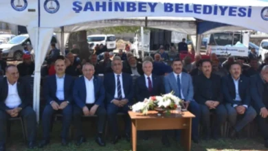 çiftçiye fide desteği - Çiftçiye 5 Milyon Fide: Destek mi, Gösteriş mi?