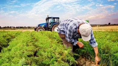 çiftçiye destek - Çiftçiye Destek: Gaziantep Toprakla Buluşuyor
