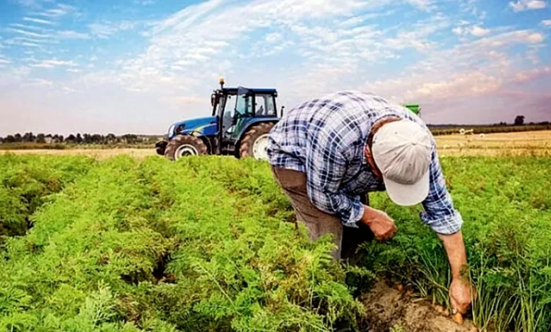 çiftçiye destek - Çiftçiye Destek: Gaziantep Toprakla Buluşuyor