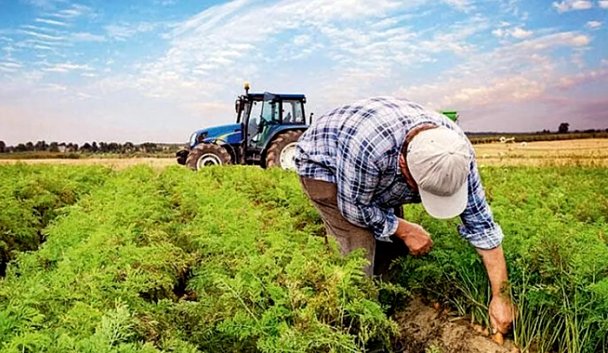 Çiftçiye Destek: Gaziantep Toprakla Buluşuyor