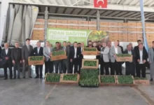 çiftçiye karpuz desteği - Çiftçiye Karpuz Desteği Başladı