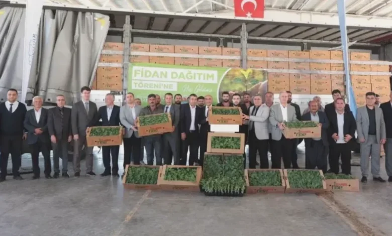 çiftçiye karpuz desteği - Çiftçiye Karpuz Desteği Başladı