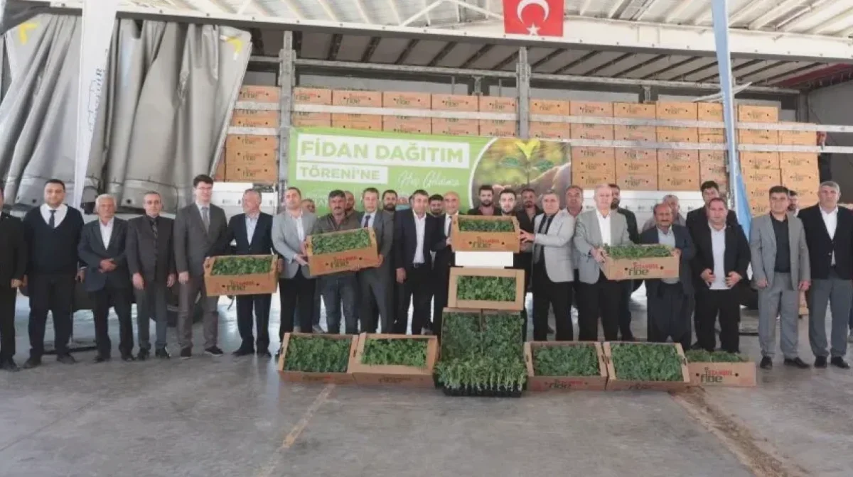 Çiftçiye Karpuz Desteği Başladı