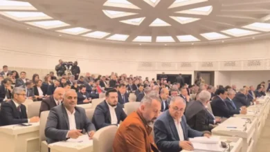 fahri hemşehrilik - Fahri Hemşehrilik: Öncelikler Tartışması