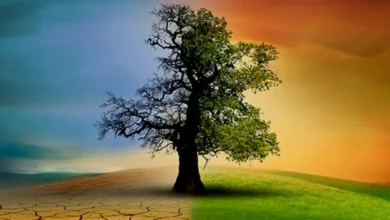 Gaziantep iklim haritası - Gaziantep İklim Haritası: Sıcaklıklar Yükselecek!