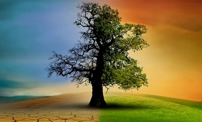 Gaziantep iklim haritası - Gaziantep İklim Haritası: Sıcaklıklar Yükselecek!