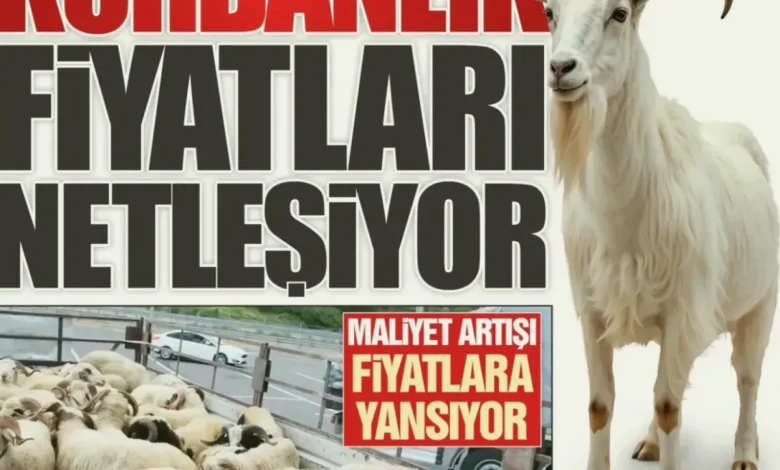 kurbanlık fiyatları - Gaziantep Kurbanlık Fiyatları: Maliyet Artışı Pazar Bekle...