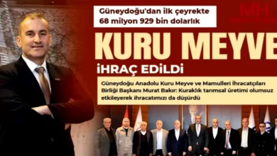 Gaziantep Kuru Meyve - Gaziantep Kuru Meyve İhracatı Yükselişte