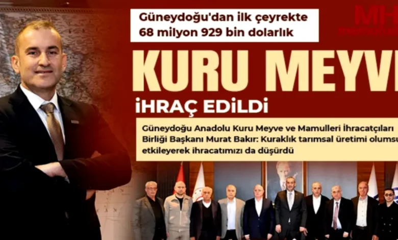 Gaziantep Kuru Meyve - Gaziantep Kuru Meyve İhracatı Yükselişte