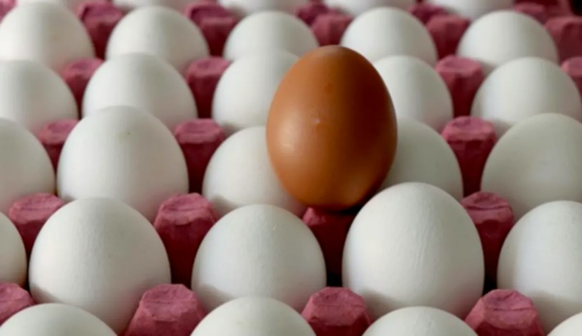 Gaziantep Yumurta Fiyatları Neden Düştü?