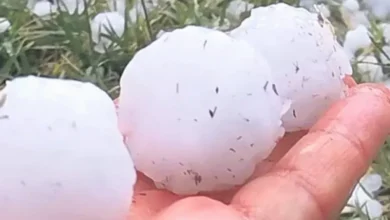 Gaziantep dolu zararı - Gaziantep'te Dolu: Çiftçinin Yüzü Güldü, Sonra Yıkıldı