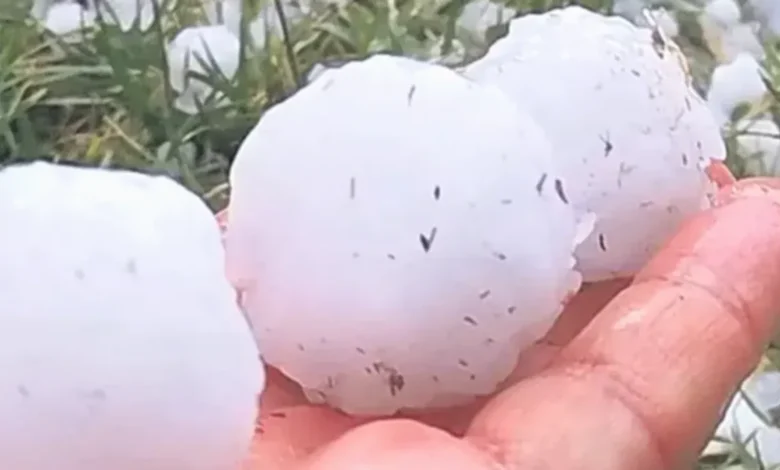 Gaziantep dolu zararı - Gaziantep'te Dolu: Çiftçinin Yüzü Güldü, Sonra Yıkıldı