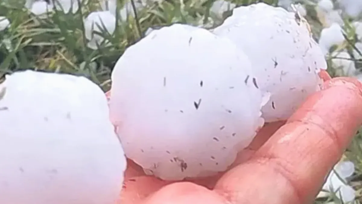 Gaziantep'te Dolu: Çiftçinin Yüzü Güldü, Sonra Yıkıldı