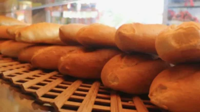 ekmek fiyatı - Gaziantep'te Ekmek Fiyatı Yeniden Güncellendi
