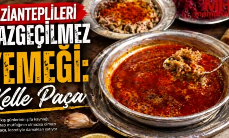 kelle paça - Gaziantep'te Kelle Paça: Şifa Kaynağı Lezzet