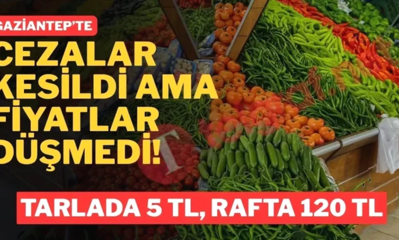 mutfak yangını - Gaziantep'te Mutfak Yangını: Fahiş Fiyatlar Vatandaşı Yak...