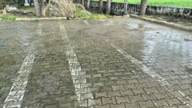 Gaziantep nohut dolu - Gaziantep'te Nohut Dolu Vurdu