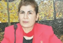 Gül Gonca kayıp - Gül Gonca: 18 Yıl Sonra Hala Kayıp