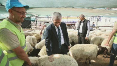 Kurban Fiyatları - Kurban Fiyatları Netleşiyor: Tahmazoğlu Açıklıyor