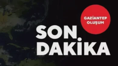 silahlı saldırı - Okulda Silahlı Saldırı Paniği: Gaziantep Yakınında Şok (S...