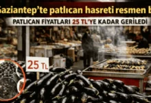 patlıcan kebabı - Patlıcan Fiyatı Düştü, Kebabı Coştu!