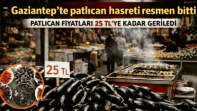 patlıcan kebabı - Patlıcan Fiyatı Düştü, Kebabı Coştu!