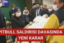 pitbull davası - Pitbull Davasında Olay Yeri Kararı