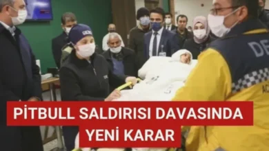 pitbull davası - Pitbull Davasında Olay Yeri Kararı