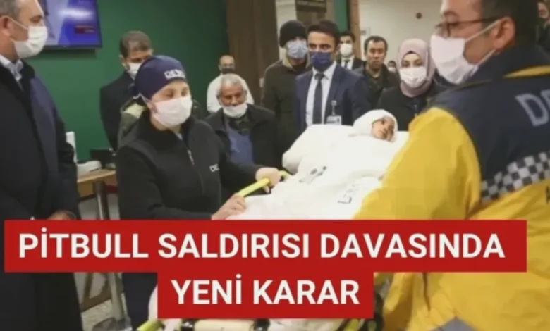 pitbull davası - Pitbull Davasında Olay Yeri Kararı