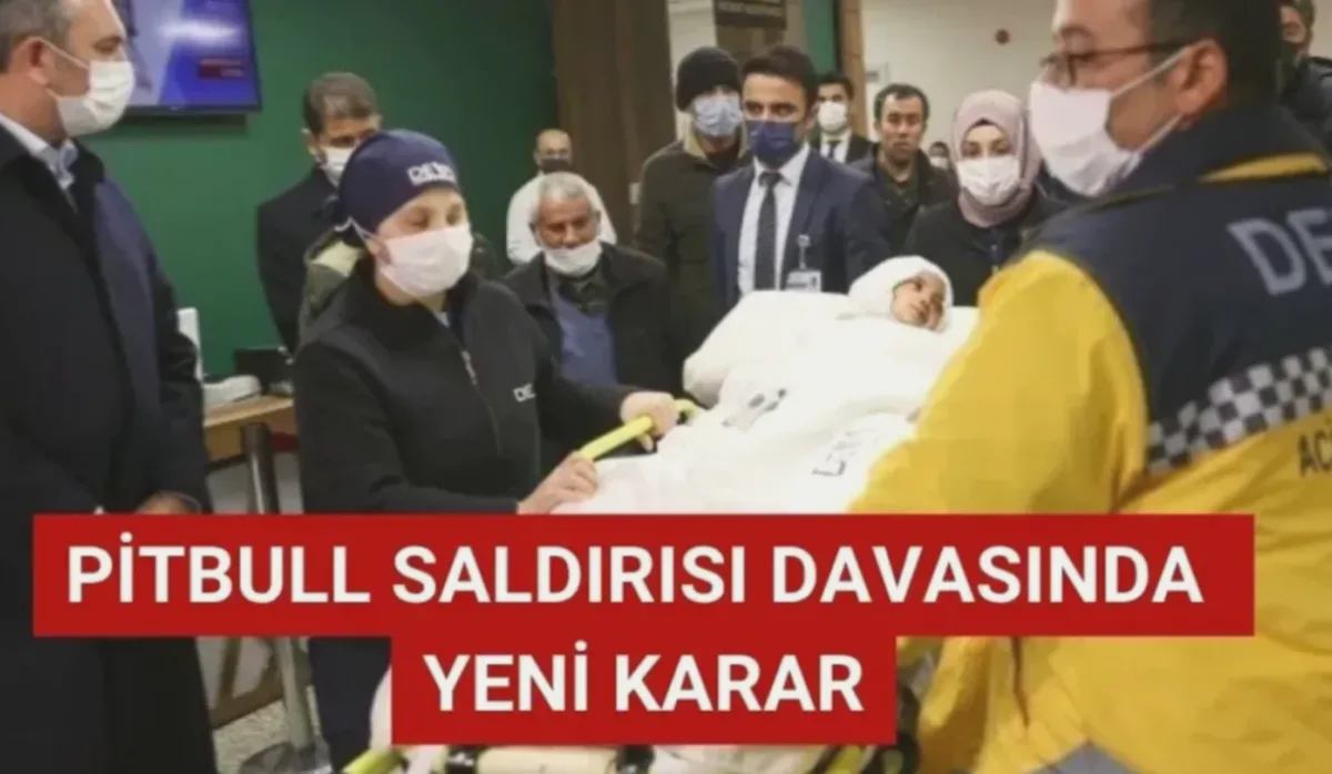 Pitbull Davasında Olay Yeri Kararı