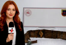 Piton Derisi Kitap - Piton Derisi Kitap: Gaziantep'te Gizemli Eser