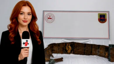 Piton Derisi Kitap - Piton Derisi Kitap: Gaziantep'te Gizemli Eser