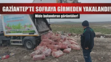 sağlıksız ciğer - Sağlıksız Ciğer Skandalı Gaziantep'te