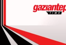 sahipsiz köpek - Sahipsiz Köpekler Koyunlara Saldırdı