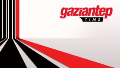 sahipsiz köpek - Sahipsiz Köpekler Koyunlara Saldırdı