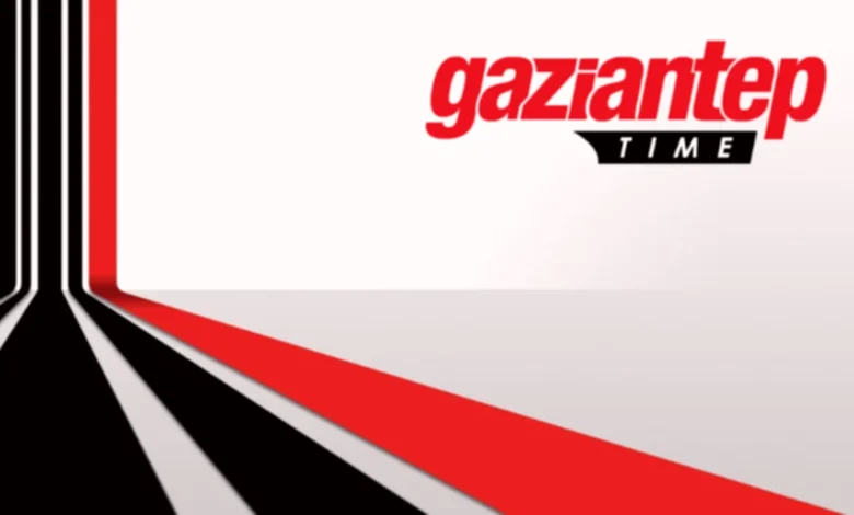 sahipsiz köpek - Sahipsiz Köpekler Koyunlara Saldırdı