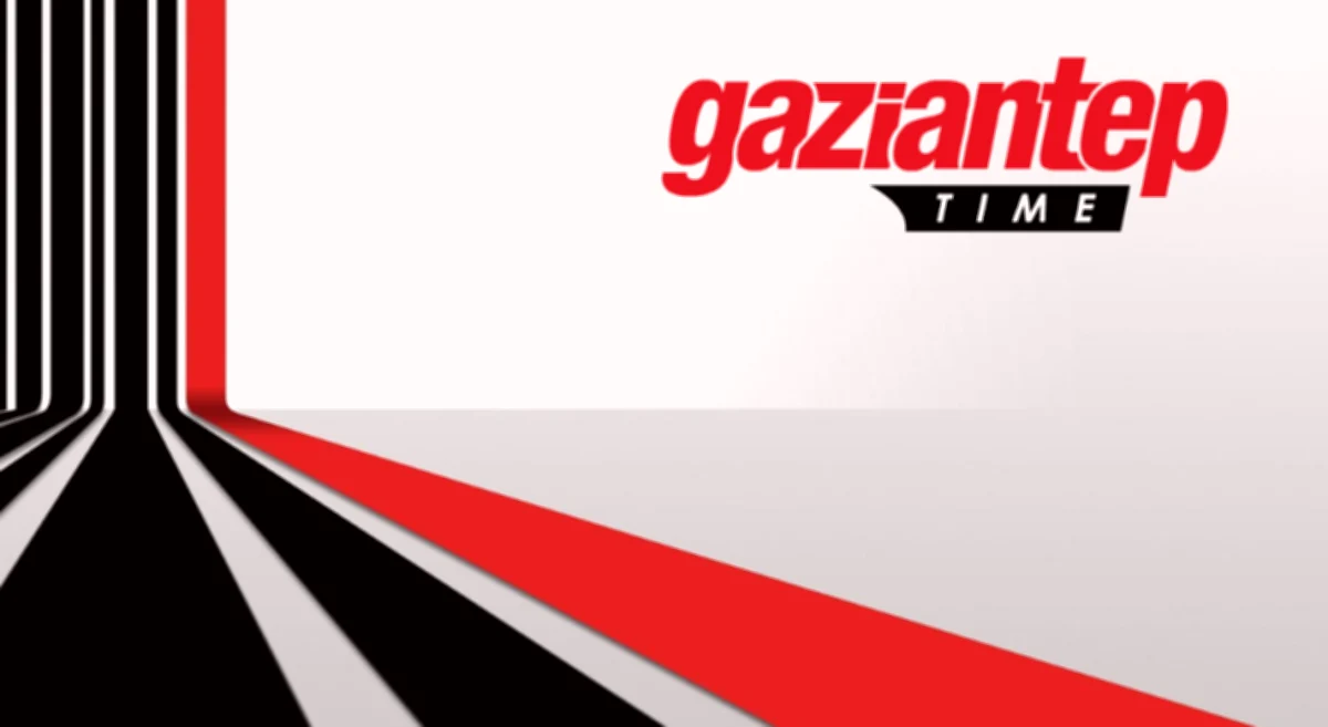 Sahipsiz Köpekler Koyunlara Saldırdı