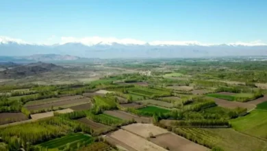 tarla evlerine sıkı denetim - Tarla Evlerine Sıkı Denetim