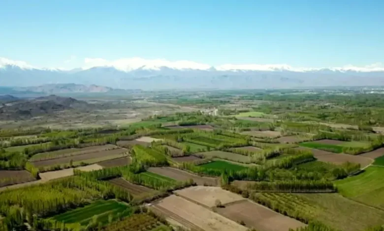 tarla evlerine sıkı denetim - Tarla Evlerine Sıkı Denetim